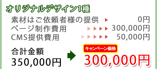 オリジナルデザイン1種【素材はご依頼者様の提供→0円　ページ制作費用→300,000円　CMS提供費用→50,000円　合計金額350,000円→[キャンペーン価格]300,000円】