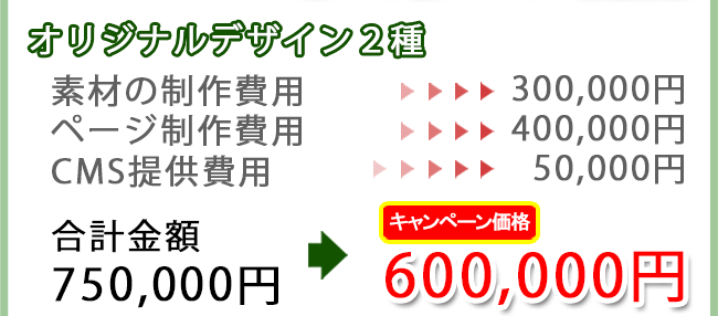 オリジナルデザイン2種【素材の制作費用→300,000円　ページ制作費用→400,000円　CMS提供費用→50,000円　合計金額850,000円→[キャンペーン価格]600,000円】